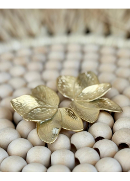 Boucles d'oreilles San...